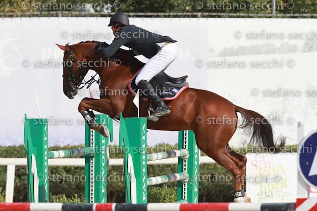 RINGOZZI_MURTINA_GIO CAV 2011_SS3_9211.jpg